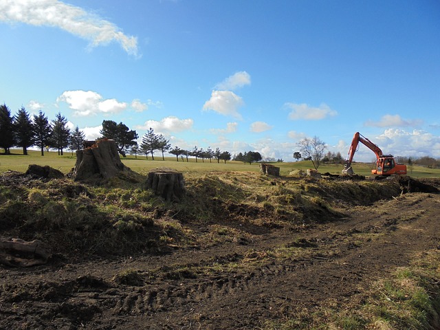 Going, Going… Gone: Stopping the Loss of Agricultural Lands in Alberta