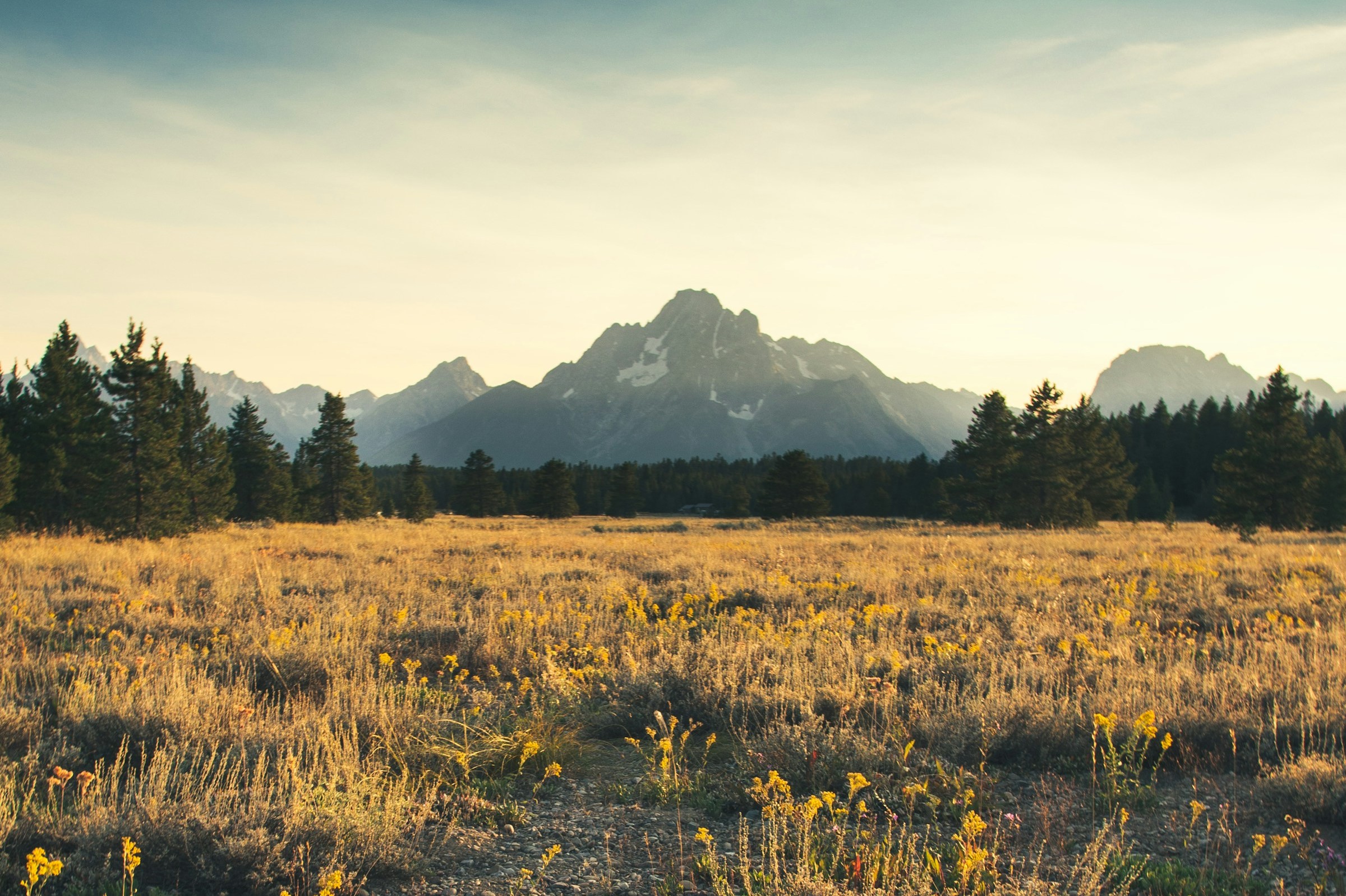 Grasslands and Drought management in Alberta